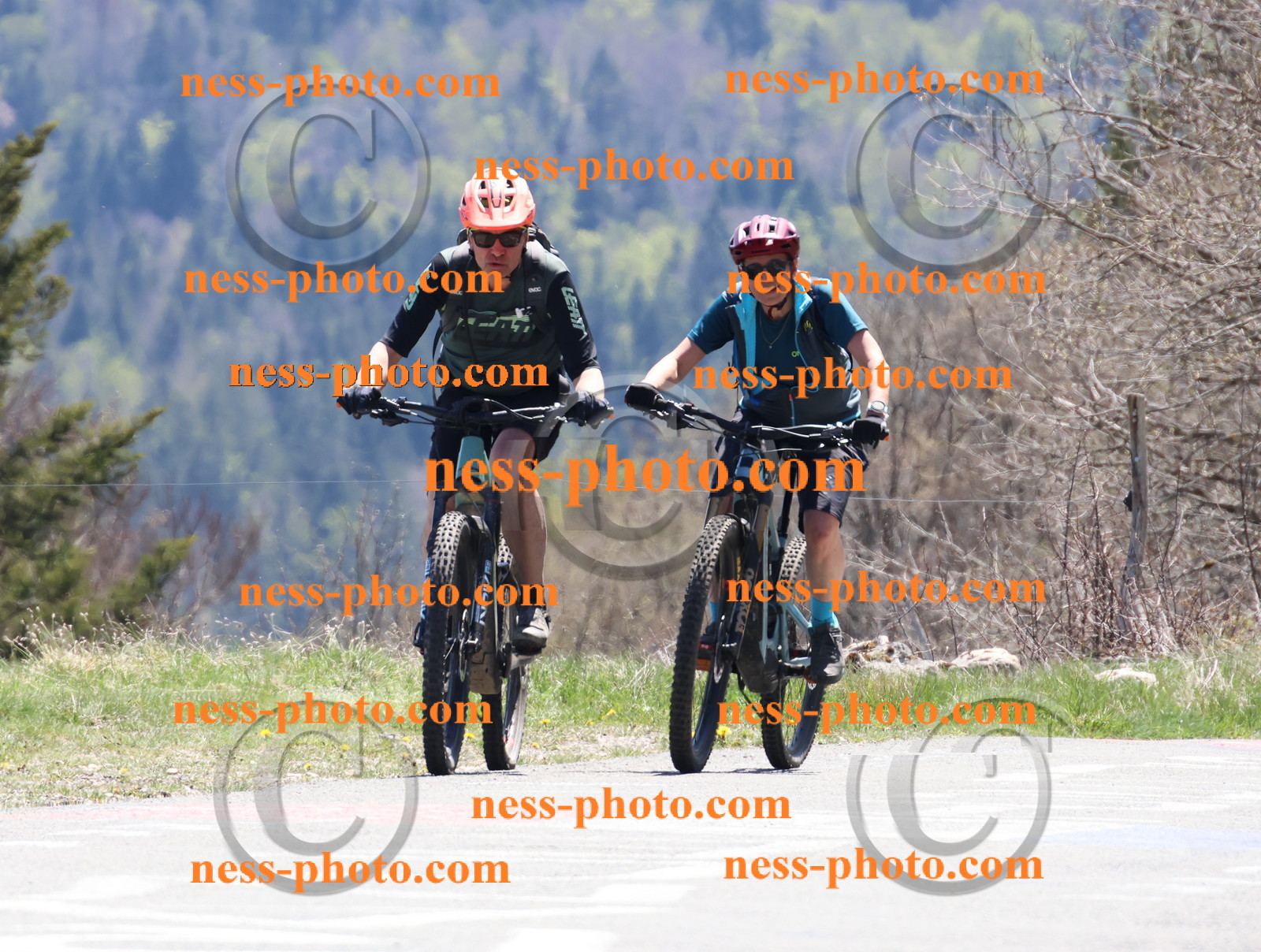 Col du Grand Colombier (732).JPG