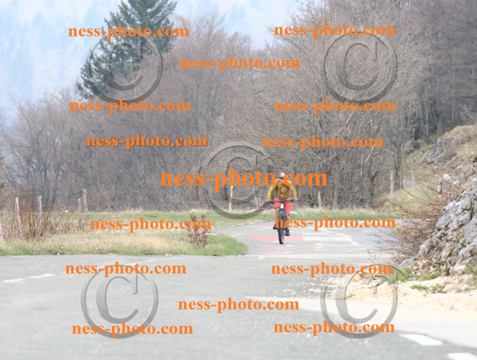 Col du Grand Colombier (71).JPG